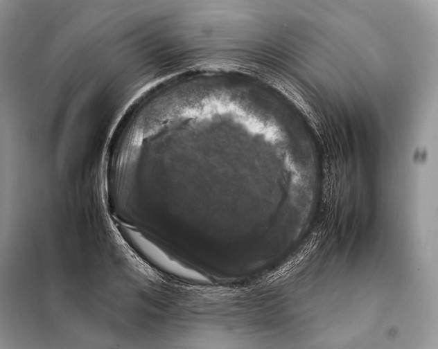 X0000098080984200805021018