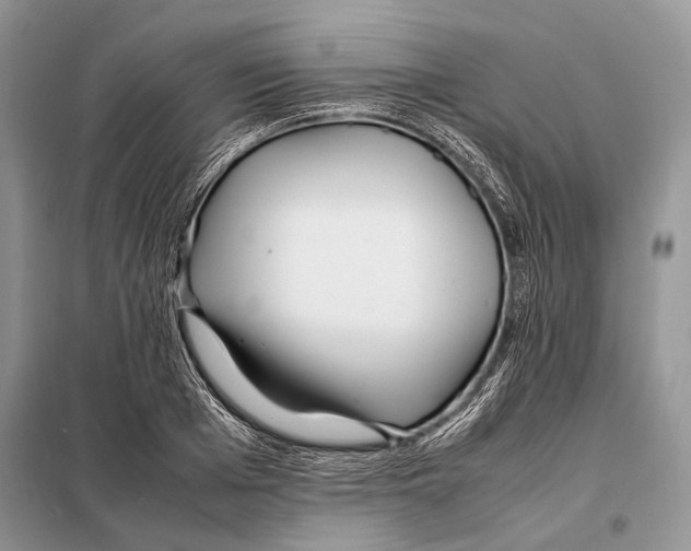 X0000098080985200805021017