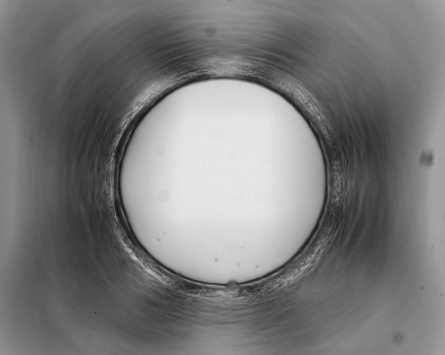 X0000098080986200805021017