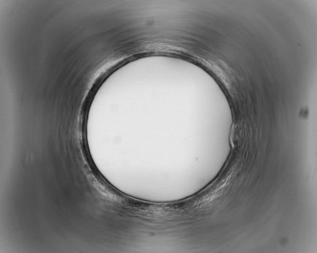 X0000098080987200805021017