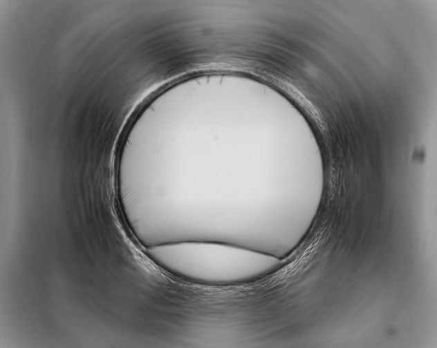 X0000098080988200805021017
