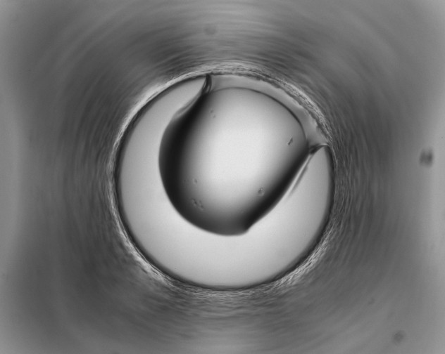 X0000098080989200805021017