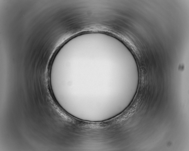 X0000098080990200805021017