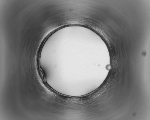 X0000098080991200805021017
