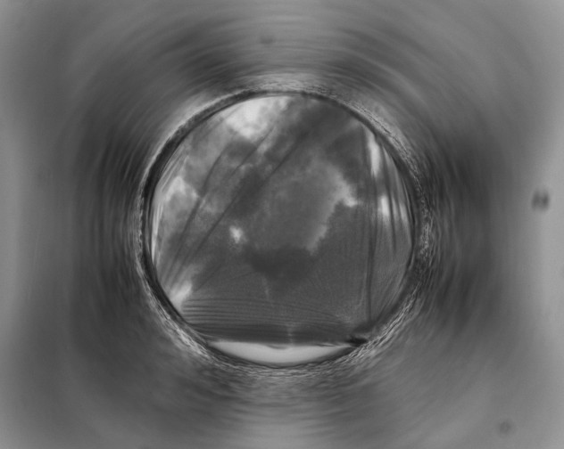 X0000098080992200805021017