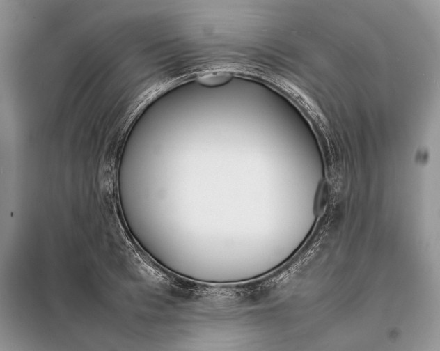 X0000098080993200805021017