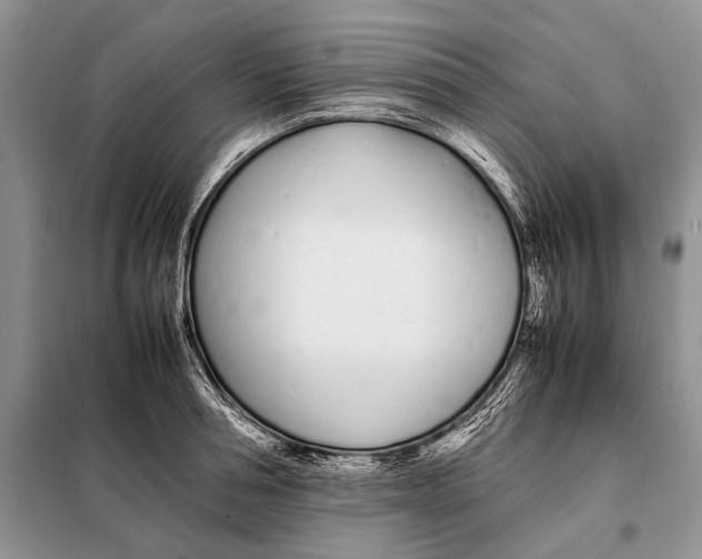 X0000098080994200805021017