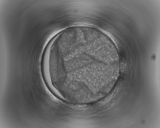X0000098080995200805021017