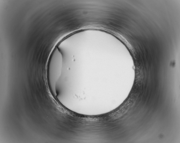X0000098080996200805021017