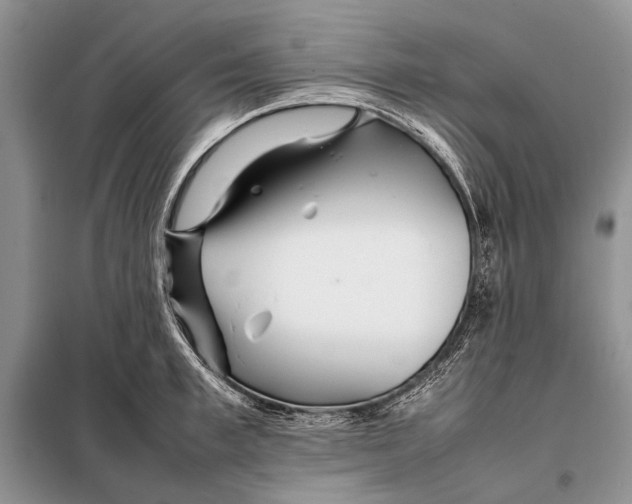 X0000098080997200805021017