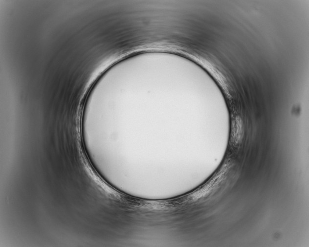 X0000098080998200805021017