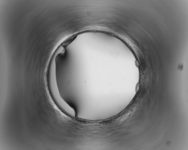 X0000098080999200805021017