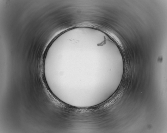 X0000098081000200805021017