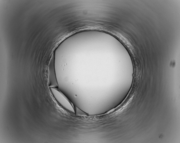 X0000098081001200805021017