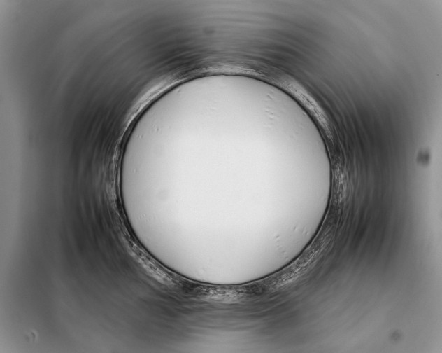 X0000098081002200805021017
