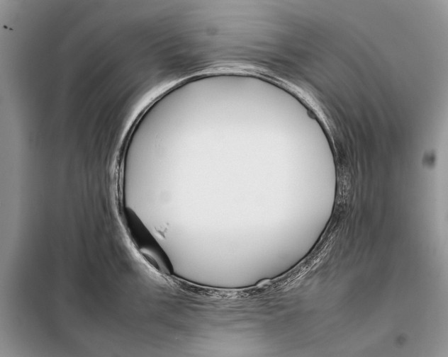 X0000098081003200805021017