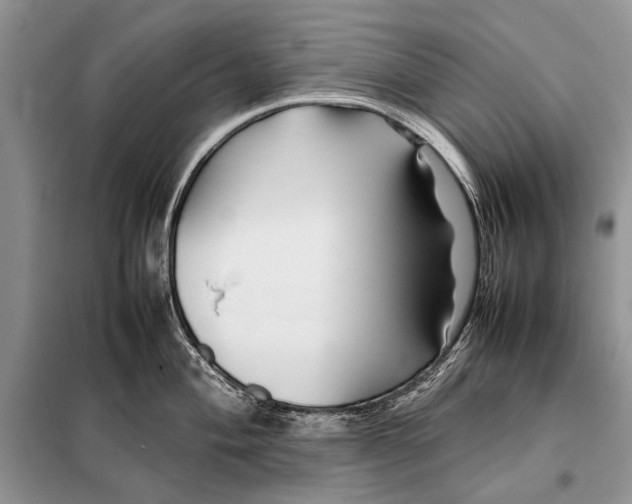 X0000098081004200805021017