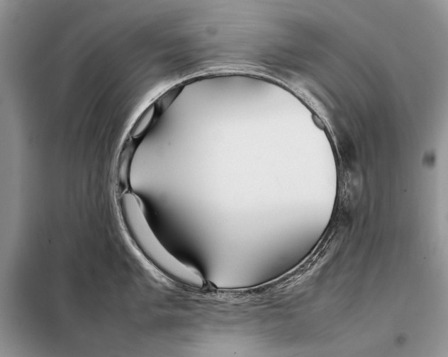 X0000098081005200805021017
