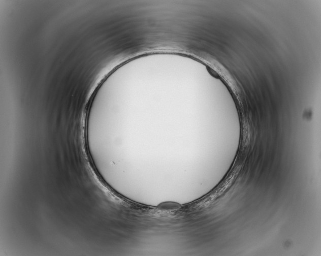 X0000098081006200805021017