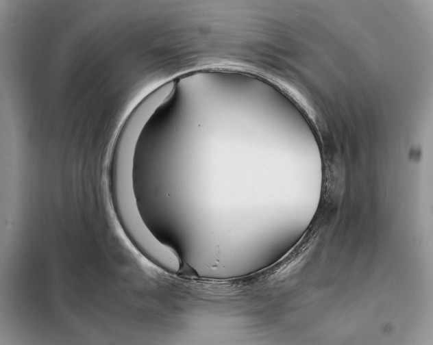 X0000098081007200805021017