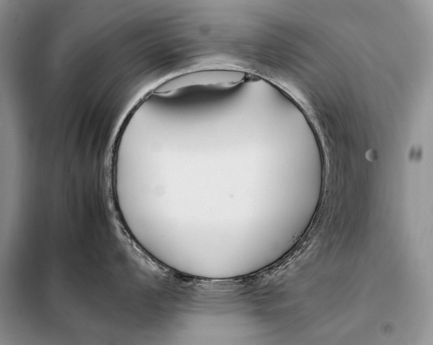 X0000098081008200805021017