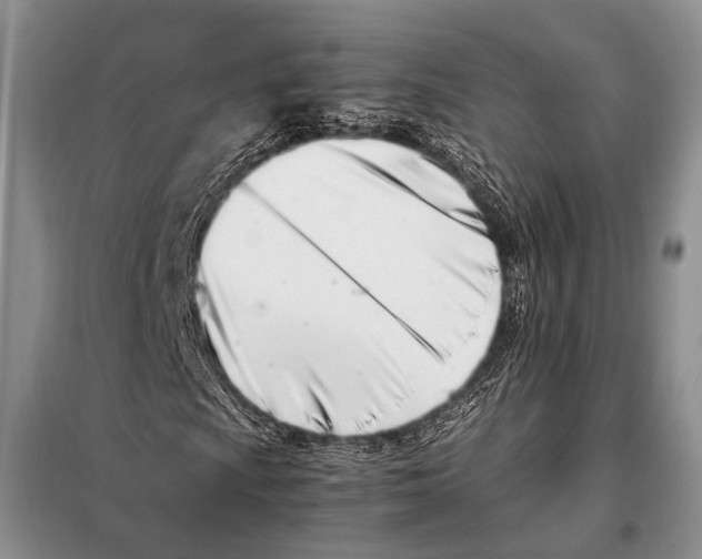 X0000098081009200805021017