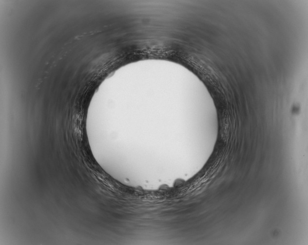 X0000098081010200805021017