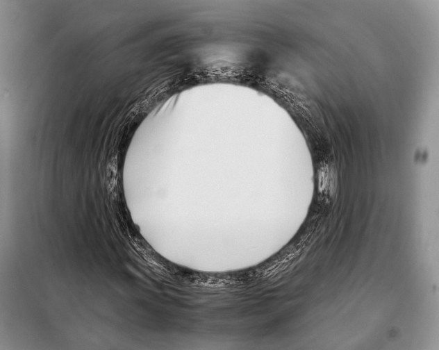 X0000098081011200805021017