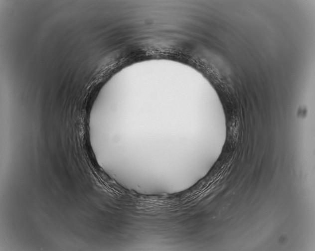 X0000098081012200805021017