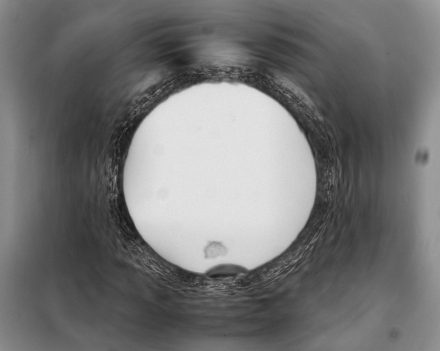 X0000098081013200805021017