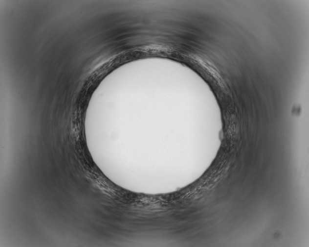 X0000098081015200805021017
