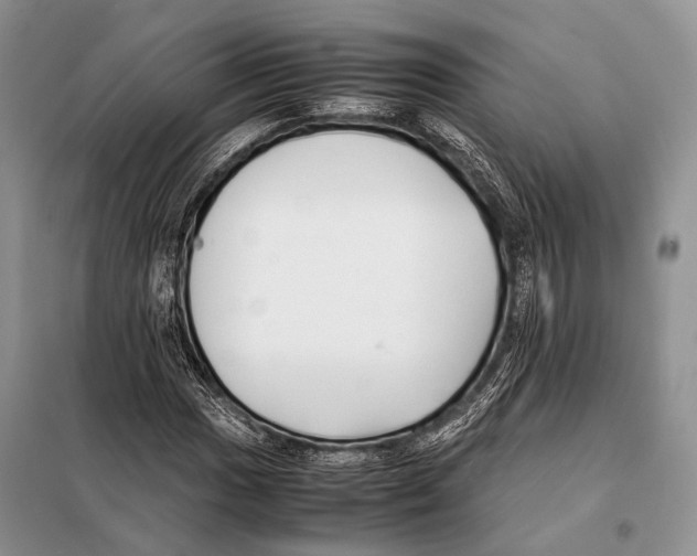 X0000098081017200805021017