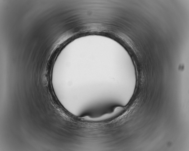 X0000098081018200805021017