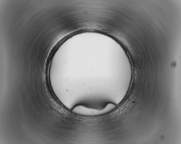X0000098081020200805021017