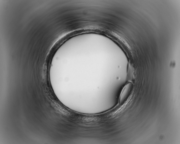X0000098081021200805021017
