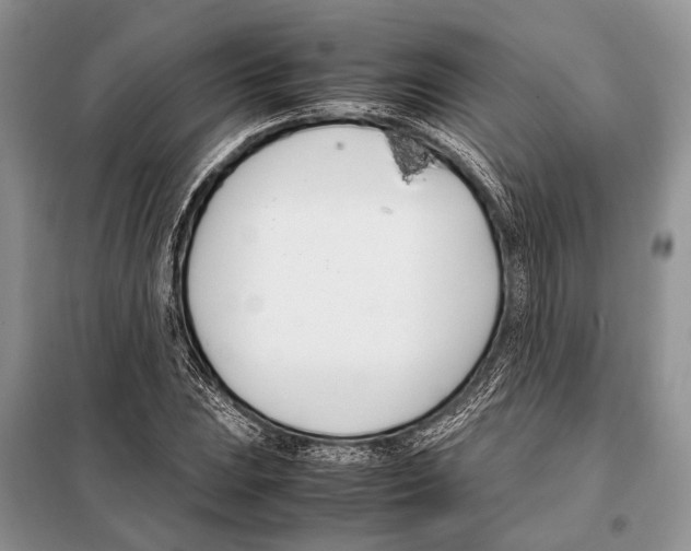 X0000098081023200805021017