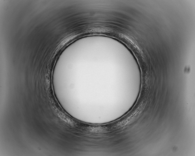 X0000098081025200805021017