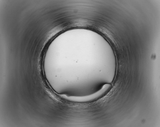 X0000098081026200805021017
