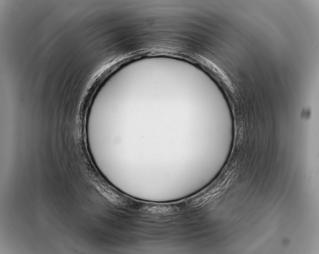 X0000098081027200805021017