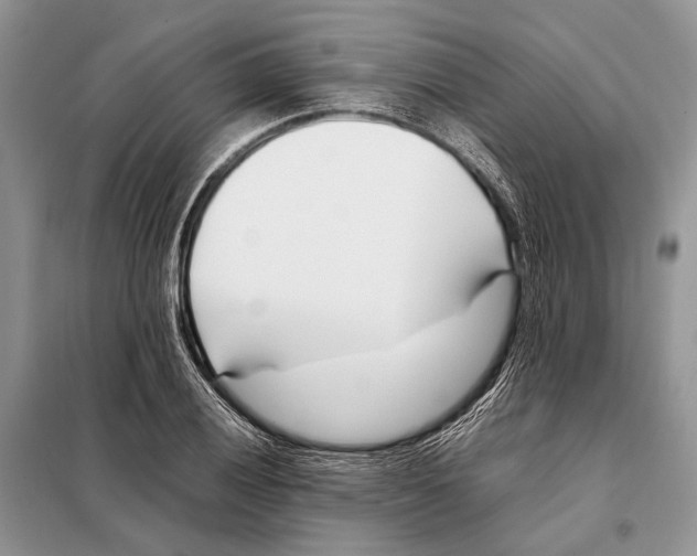 X0000098081028200805021017