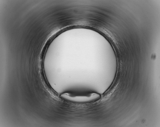 X0000098081029200805021017