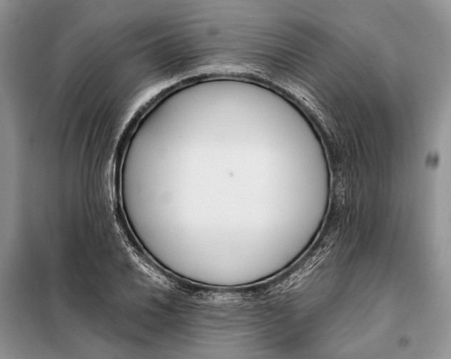 X0000098081030200805021017