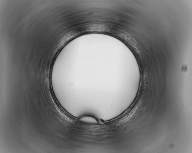 X0000098081033200805021017