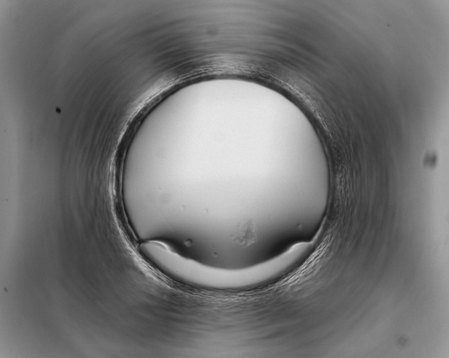 X0000098081034200805021017