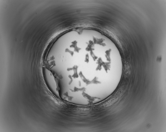 X0000098081035200805021017