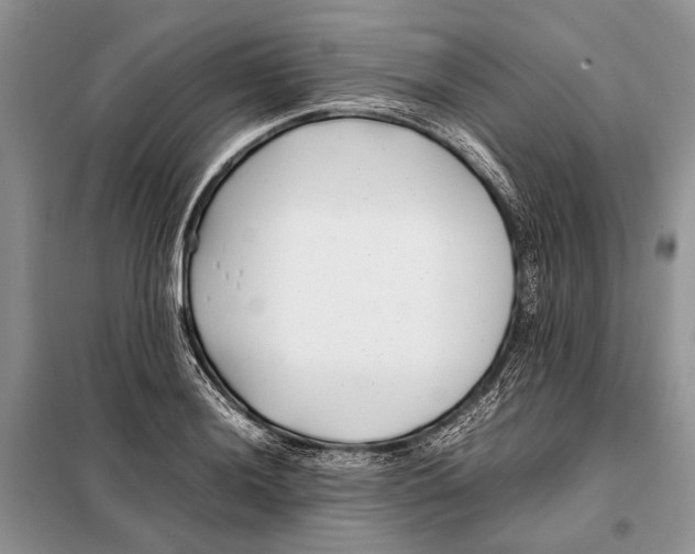 X0000098081036200805021017