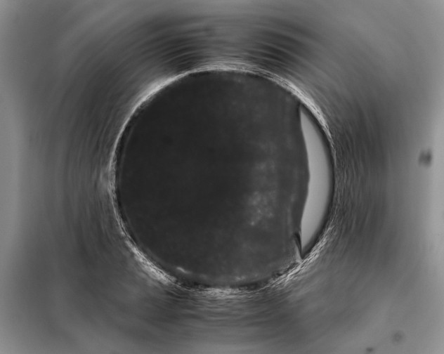 X0000098081037200805021017