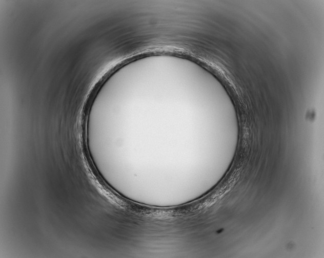 X0000098081038200805021017