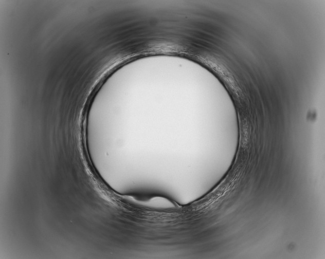 X0000098081039200805021017