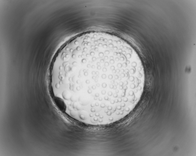 X0000098081040200805021017